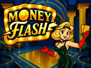 Money Flash screenshot